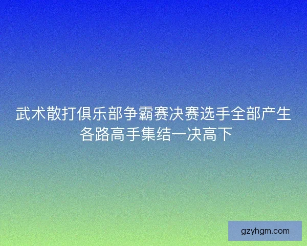 武术散打俱乐部争霸赛决赛选手全部产生 各路高手集结一决高下
